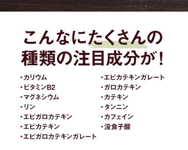 スッキリプーアール茶 ポット用90個入 (W焙煎 重合カテキン 没食子酸 カリウム 蒸気殺菌 健康茶 置き換え プーアル茶 プアール茶 雲南 中国茶 静岡 ティーバッグ ティーパック)《ティーライフ》_5