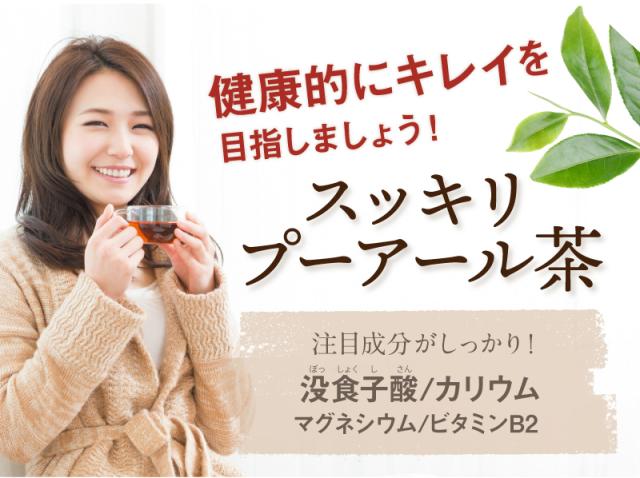 スッキリプーアール茶 ポット用90個入 (W焙煎 重合カテキン 没食子酸 カリウム 蒸気殺菌 健康茶 置き換え プーアル茶 プアール茶 雲南 中国茶 静岡 ティーバッグ ティーパック)《ティーライフ》_10
