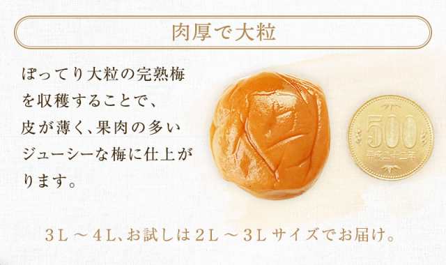 紀州の梅 みつまろ お試し 240g 送料無料 大粒 はちみつ梅干し 南高梅 国産 減塩 お弁当 ご飯のお供 お歳暮 ギフト ご挨拶 はちみつ梅  《の通販はau PAY マーケット - ティーライフ 美容茶・健康茶