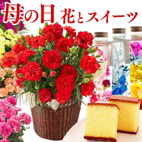 母の日 花とセット 選べるお花とスイーツ セット Md12 送料無料 カーネーション 花 生花 花鉢 鉢植え プレゼント スイーツ ギフト 人気の通販はau Pay マーケット カステラなら長崎心泉堂