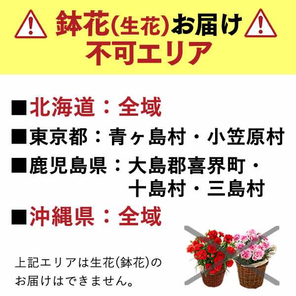 母の日 花とセット 選べるお花とスイーツ セット Md12 送料無料 カーネーション 花 生花 花鉢 鉢植え プレゼント スイーツ ギフト 人気の通販はau Pay マーケット カステラなら長崎心泉堂