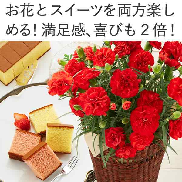 母の日 プレゼント 花とセット 鉢植え ギフト 花 カーネーション 選べるお花とスイーツ セット Md12 送料無料 人気 お菓子 生花 菓子 の通販はau Pay マーケット カステラなら長崎心泉堂