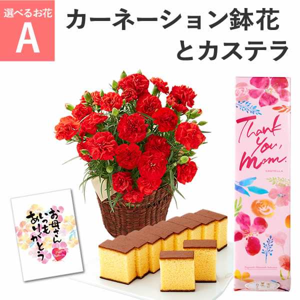 母の日 プレゼント 花とセット 鉢植え ギフト 花 カーネーション 選べるお花とスイーツ セット Md12 送料無料 人気 お菓子 生花 菓子 の通販はau Pay マーケット カステラなら長崎心泉堂