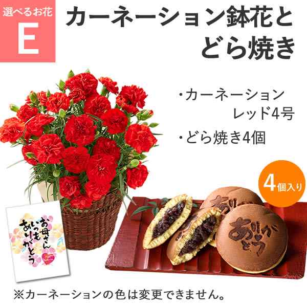 母の日 プレゼント 花とセット 鉢植え ギフト 花 カーネーション 選べるお花とスイーツ セット Md12 送料無料 人気 お菓子 生花 菓子 の通販はau Pay マーケット カステラなら長崎心泉堂