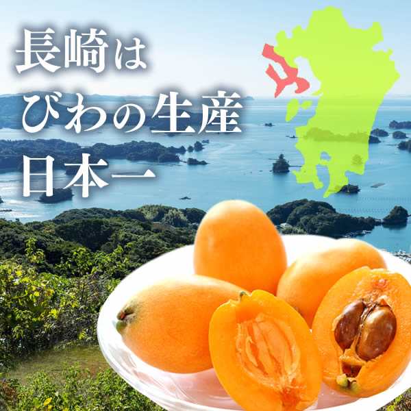 長崎 びわ ゼリー ギフト 9個入り To95 お供え お盆 お中元 法事 お供え物 菓子 お菓子 ゼリー ギフト フルーツ 果物 送料無料 贈り物 の通販はau Pay マーケット カステラなら長崎心泉堂