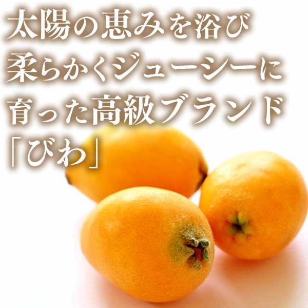 長崎 びわ ゼリー ギフト 5個入り 詰め合わせ To94 お歳暮 お中元 お供え 送料無料 茂木 枇杷 お菓子 プレゼント 果物 フルーツ 贈り物の通販はau Pay マーケット カステラなら長崎心泉堂