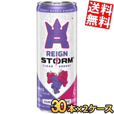貨物輸送無料 アサヒ レインストーム ハーベストグレープ 250ml缶 60本(30本×2入れもの) 活動力ドリンク 栄養分役立つこと食料雑貨類 皆無キロカロリー