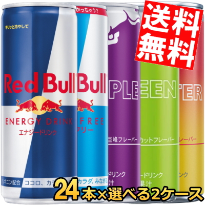 送料無料 レッドブル エナジードリンク 250ml缶 48本セット(24本入