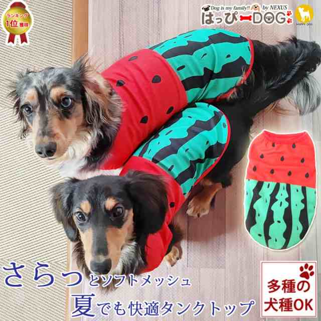 犬服 SS わんこの普段着 フルーツカシェモア グリーン 犬用品