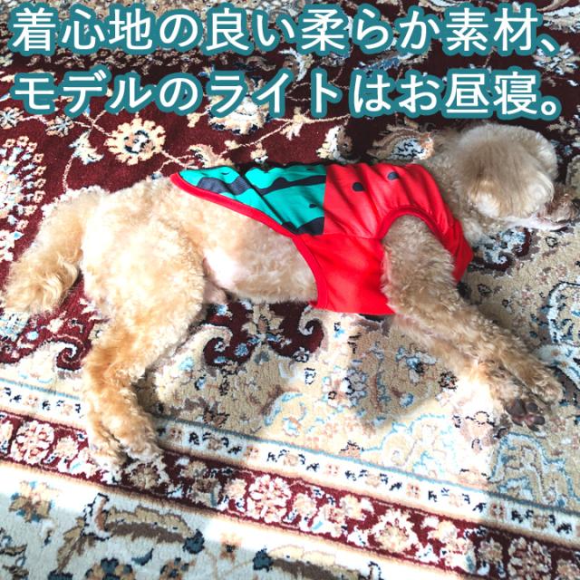 犬 服 犬服 犬の服 夏 春夏 夏用 ドッグウェア ペット用品 可愛い