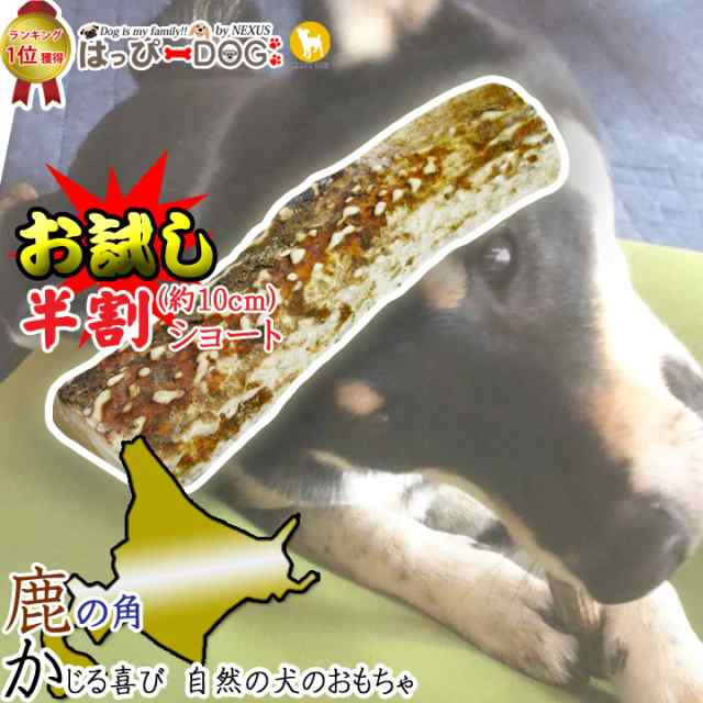 ぽっきり 1000円 ポッキリ 送料無料 鹿の角 犬のおもちゃ 半割 北海道 鹿角 犬 おもちゃ 犬用 噛む 歯磨き おやつ ドッグガム デンタルケの通販はau Pay マーケット はっぴーdog Au Pay マーケット店