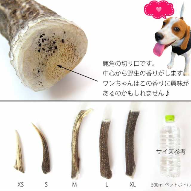 ぽっきり 1000円 ポッキリ 送料無料 鹿の角 犬のおもちゃ 半割 北海道 鹿角 犬 おもちゃ 犬用 噛む 歯磨き おやつ ドッグガム デンタルケの通販はau Pay マーケット はっぴーdog Au Pay マーケット店