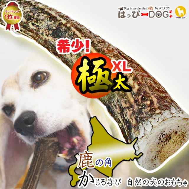 犬用　鹿の角犬用品