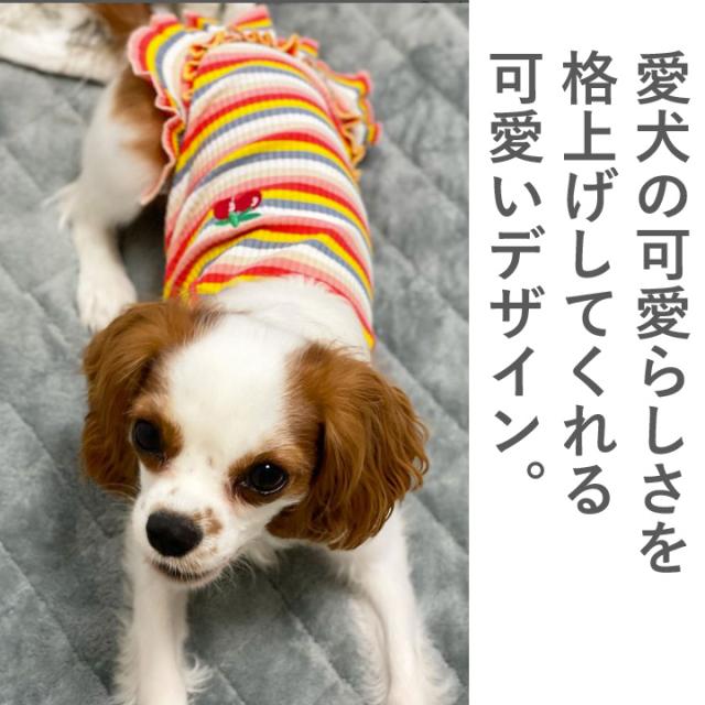 プレミア商品 犬服 さくらんぼのパフスリーブワンピとアランボーダーのパフスリーブワンピ アウトレット送料無料 Www Ijqr Net