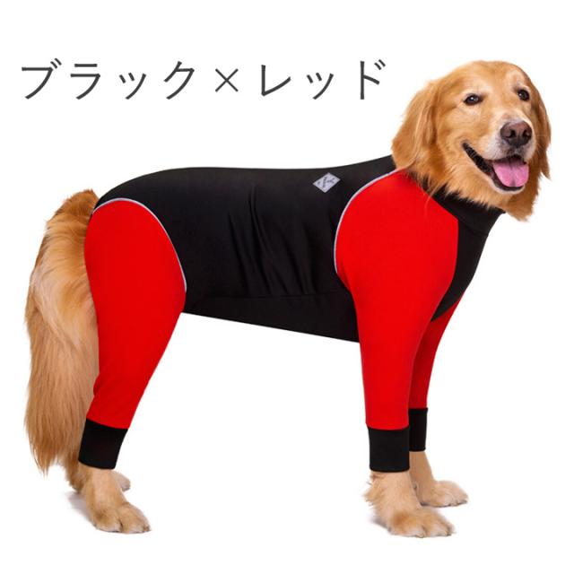 ALPHAICON☆犬ウェットスーツ アルファアイコン ダブルフルドッグガード（大型犬・超大型犬用