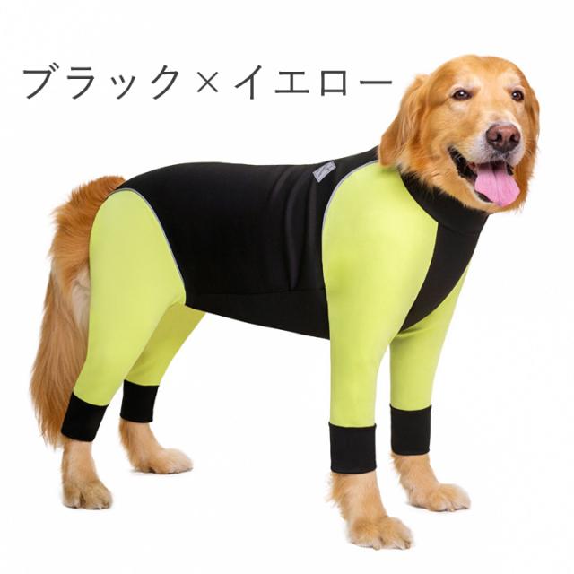 ALPHAICON☆犬ウェットスーツ アルファアイコン ダブルフルドッグガード（大型犬・超大型犬用