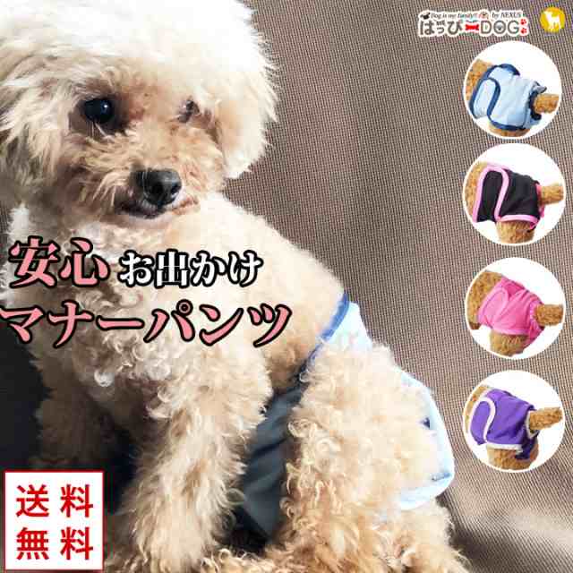 ドッグウェア 犬の服 ペット用品 可愛い 犬服 犬 服 マナーカバー マナーパンツ マナーベルト マナーバンド おむつ オムツ おしっこ対策  の通販はau PAY マーケット はっぴーDOG!! au PAY マーケット店 au PAY マーケット－通販サイト