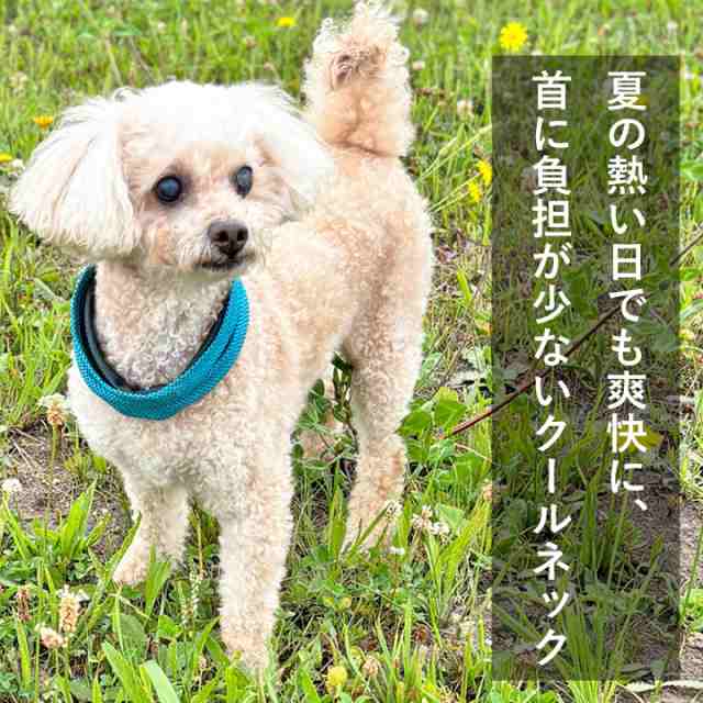 ドッグウェア 犬の服 ペット用品 可愛い 犬服 犬 服 ネッククーラー ひんやり バンバナ 犬用 犬服 犬 服 アクセサリー 送料無料 ペット用の通販はau Pay マーケット はっぴーdog Au Pay マーケット店