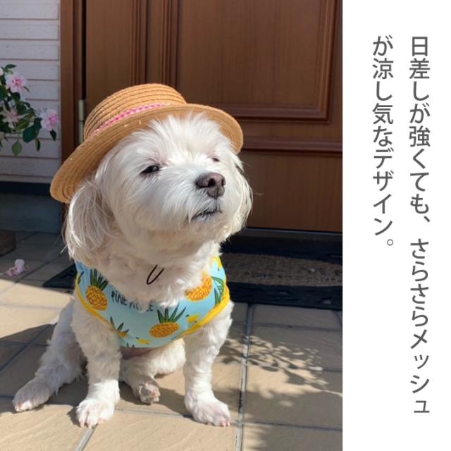 犬 服 夏服 メッシュ タンクトップ キャミソール 犬服 犬の服 涼しい