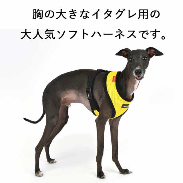 ドッグウェア 犬の服 ペット用品 可愛い 犬服 犬 服 ハーネス 胴輪 イタグレ イタリアングレーハウンド Puppia パピア 正規品 メッシュ の通販はau Pay マーケット はっぴーdog Au Pay マーケット店