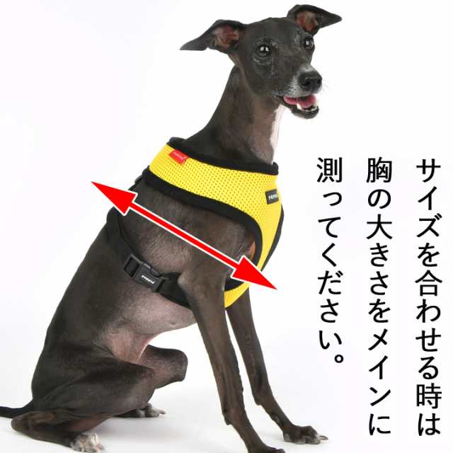 犬 ハーネス 胴輪 イタグレ イタリアングレーハウンド 中型犬 小型犬 ペット用品 可愛い 犬用ハーネス PUPPIA パピア ペット用品の通販はau  PAY マーケット - はっぴーDOG!! au PAY マーケット店 | au PAY マーケット－通販サイト