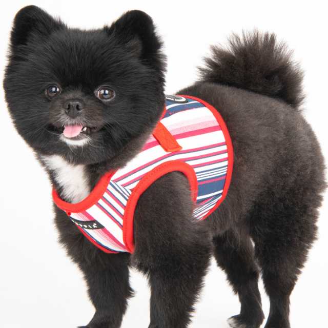低価格 ハーネス パピア 犬のハーネス 抜けない 胴輪 柔らかい パピー 脱げない 首の負担が少ない 犬 子犬 ハーネス犬用 ファッション 小型犬 簡単装着 PUPPIA ハーネス ベストハーネス シニア犬 ソフトベストハーネス 可愛い