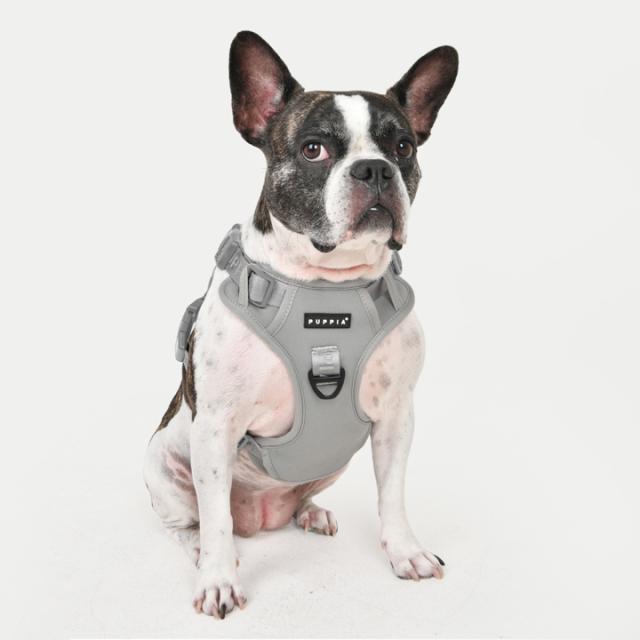 ハーネス リード セット 犬 首の負担が少ない 小型犬 中型犬 大型犬 子犬 パピア PUPPIA 可愛い ハーネス犬用 犬のハーネス 柔らかい ベストハーネス パピー 超小型犬 極小 簡単装着 抜けない 抜けにくい 脱げない 胴輪 シニア犬_1
