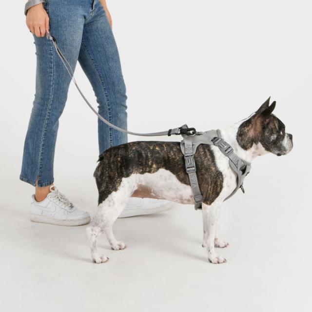 ハーネス リード セット 犬 首の負担が少ない 小型犬 中型犬 大型犬 子犬 パピア PUPPIA 可愛い ハーネス犬用 犬のハーネス 柔らかい ベストハーネス パピー 超小型犬 極小 簡単装着 抜けない 抜けにくい 脱げない 胴輪 シニア犬_2