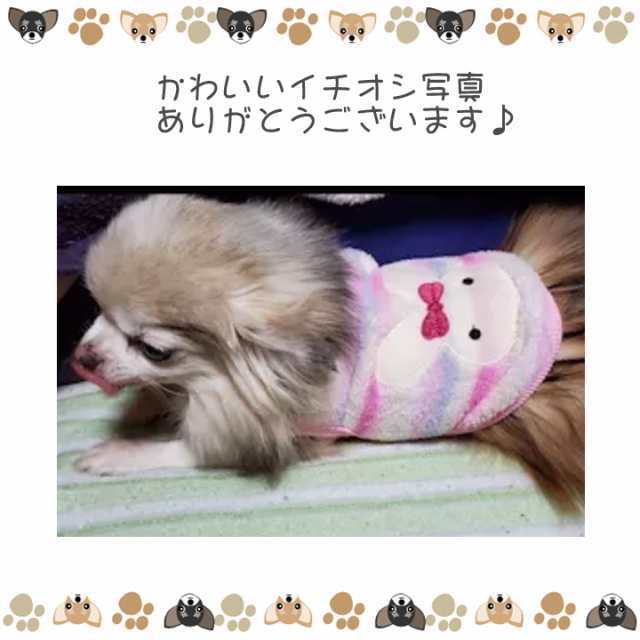 ドッグウェア 犬の服 ペット用品 可愛い 犬 服 犬服 タンクトップ カラフル 犬の服ダックスの通販はau Pay マーケット はっぴーdog Au Pay マーケット店