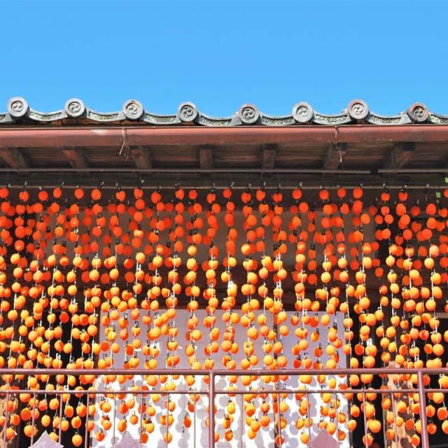 干し柿の中に栗きんとん餡！柿寿楽12個入/市田柿/栗/贈答/木箱/和菓子/創作/国産/高級 干し柿の中に栗きんとん餡！柿寿楽12個入/市田柿/栗/贈答/木箱/和菓子