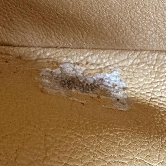 CHANEL シャネル ショルダーバッグ ベージュ 14059 レディース【中古