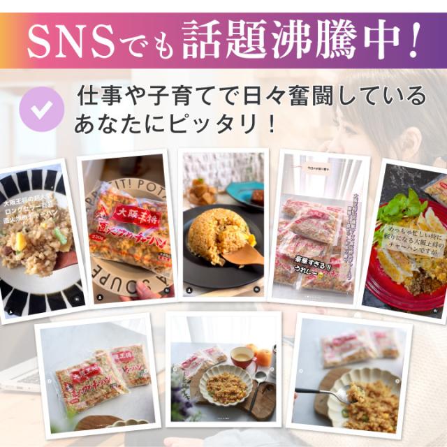 大阪王将 豚カルビチャーハン30袋セット レンチン可
