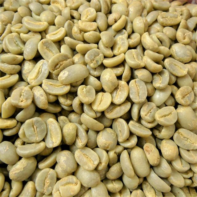 コーヒー生豆 ジャマイカ産 ブルーマウンテン No.1 ブルマン 未焙煎 907g (2lbs) クライスデール コーヒー豆 生豆 014151.com_1