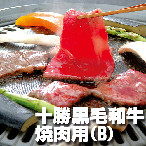 出どころ直送 御中元 夏差し上げ物 北海道 十勝黒毛和牛 焼肉用 500ｇ（B） 52-hg 凝結便 貨物輸送無料 ※同梱申し付ける不可