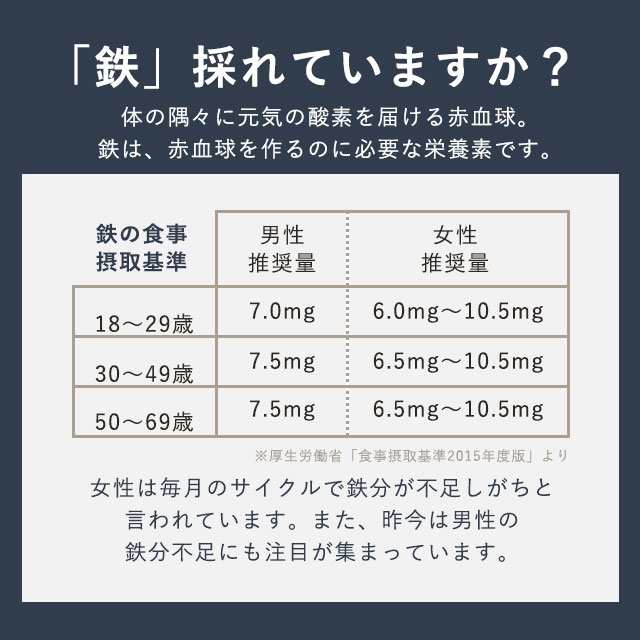 お徳用ヘム鉄&ビタミン（約3ヶ月分） サプリメント 健康食品 ヘムテツ