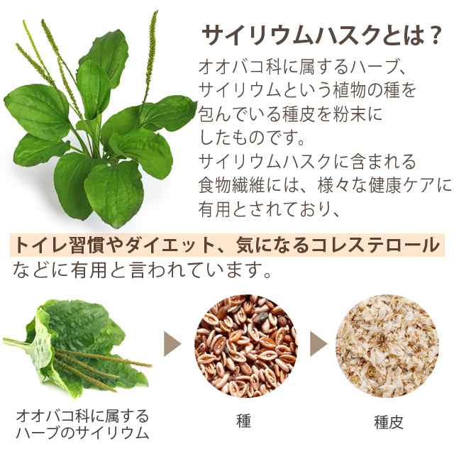 フルーツ グリーン スムージー (200g) サプリメント 酵素スムージー 酵素 乳酸菌 ダイエット 酵素ドリンク _JB _JD｜au PAY  マーケット