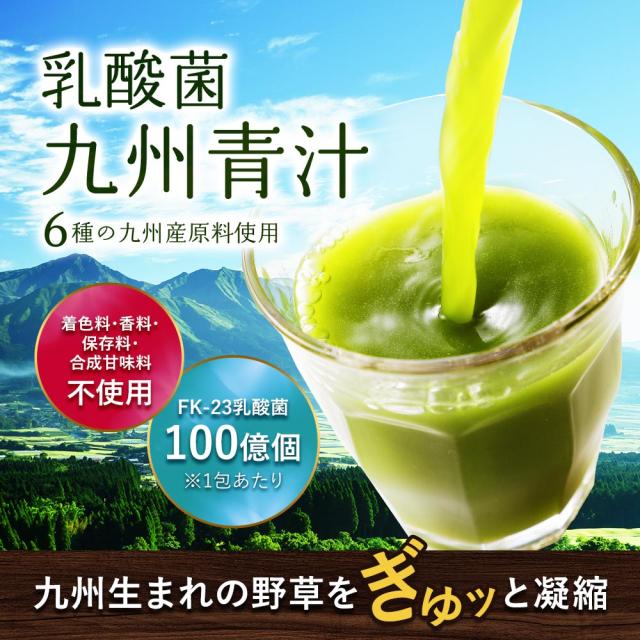 乳酸菌九州青汁（30包・6個セット） 送料無料 野菜不足 青汁ドリンク 酵素 大麦若葉 ケール ハチミツや牛乳と一緒に ゴーヤ 個包装 国産 オリゴ糖 葉酸 ビタミン ミネラル おすすめ あおじる オススメ aojiru _JH _JD _JF 38001