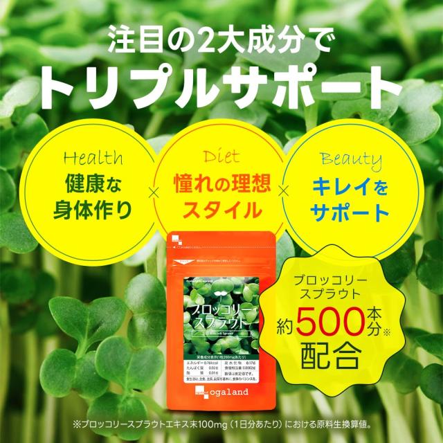 お徳用ブロッコリースプラウト（2個セット・約6ヶ月分） 送料無料
