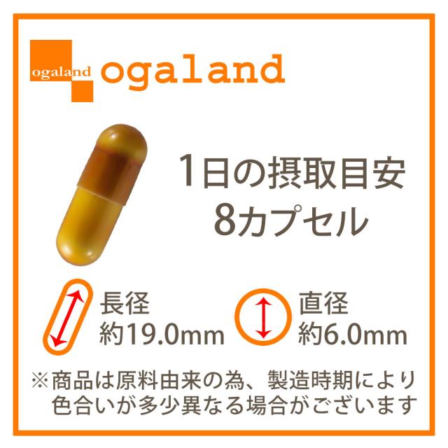 【新発売】栄養機能食品 シトルリン＆アルギニン＆亜鉛 （約3ヶ月分） メンズサプリ 男性用 人気 おすすめ 送料無料 活力 元気 パワフル アミノ酸 あえん 筋肉 たんぱく 質 健康 美容 ダイエット オーガランド 国内 製造 19039_15