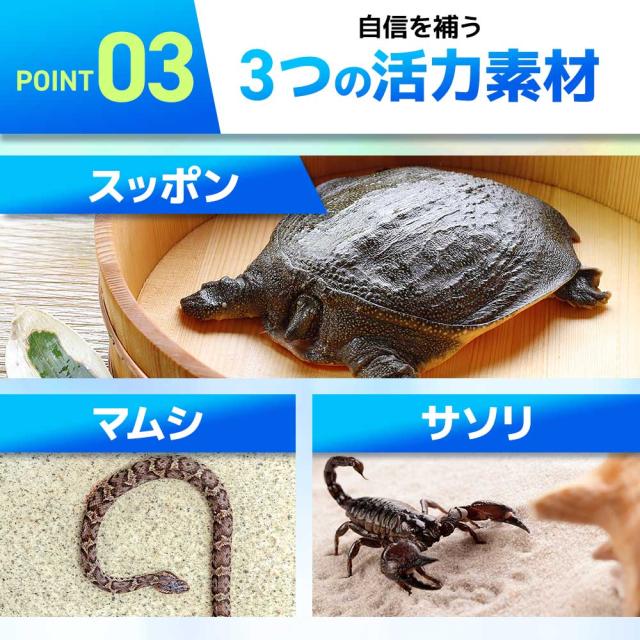 DANGAN4（約6ヶ月分） サプリメント 元気 亜鉛 マカ メンズ 男性必見 継続 モテる マムシ _JH _MEN _6K 11019_8