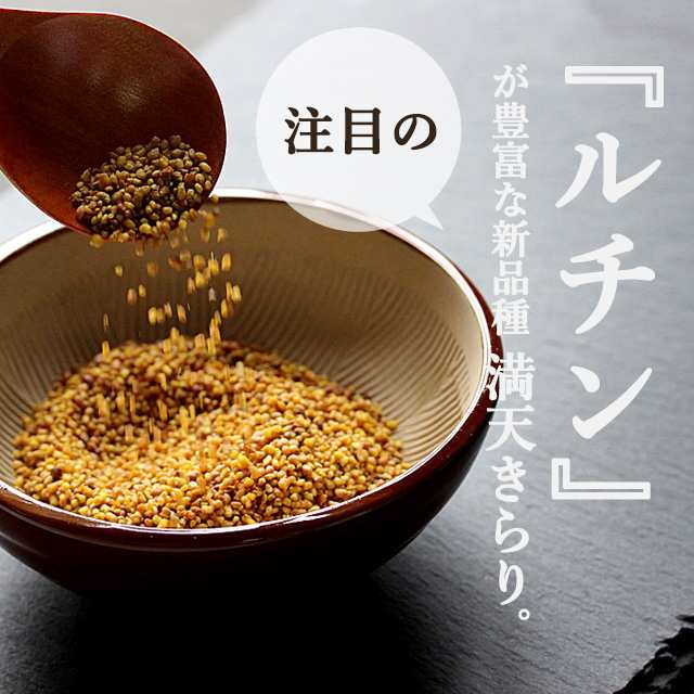 韃靼そば茶（500g） 大容量 韃靼蕎麦 使用！国産 北海道産 満点きらり