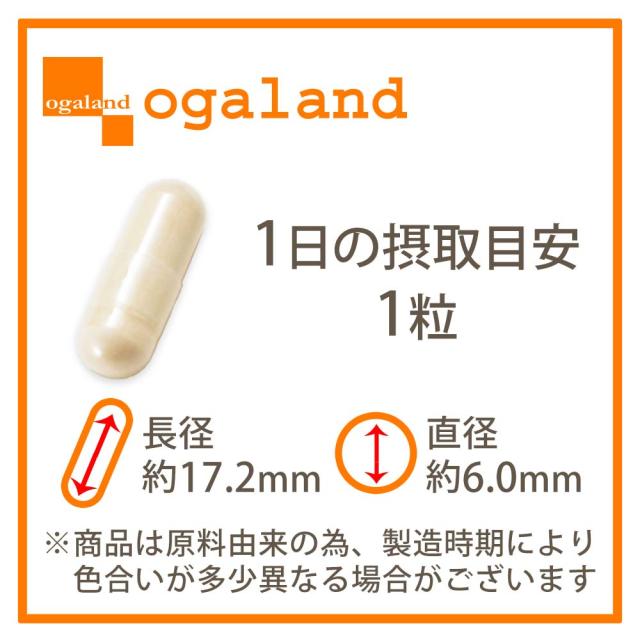 エクオール10（約6ヶ月分） 1粒 10mg配合 大豆 サプリメント エクオール サプリ オーガランド ラクトビオン酸 大豆 抽出発酵物 イソフラボン 大人女子 ケア 女性 健康 美容 _JH _6K 19047_15
