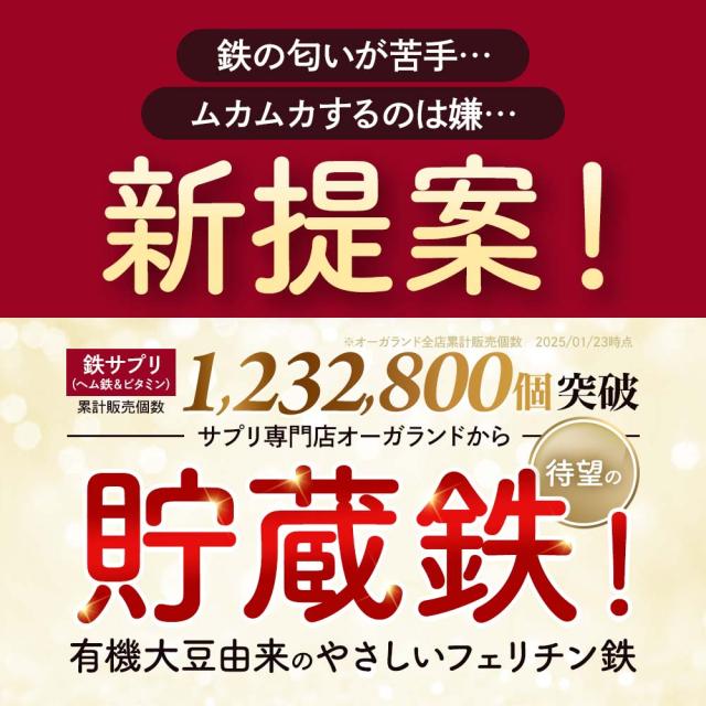 フェリチン鉄（6個セット・約6ヶ月分） 鉄 鉄分 サプリ 栄養機能食品 貯蔵鉄 オーガランド 女性 亜鉛 銅 葉酸 ビタミンB6 ビタミンB12 非ヘム鉄 小粒 1粒あたり5mg 高吸収 有機 大豆由来 ドリンクより手軽に サプリメント ポイント消化 46002_2