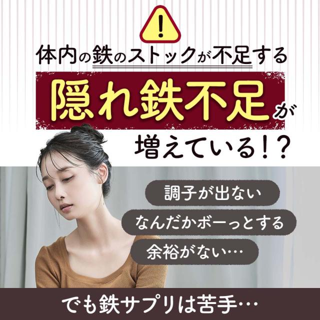 フェリチン鉄（6個セット・約6ヶ月分） 鉄 鉄分 サプリ 栄養機能食品 貯蔵鉄 オーガランド 女性 亜鉛 銅 葉酸 ビタミンB6 ビタミンB12 非ヘム鉄 小粒 1粒あたり5mg 高吸収 有機 大豆由来 ドリンクより手軽に サプリメント ポイント消化 46002_3
