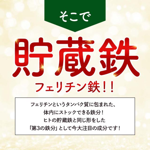 フェリチン鉄（6個セット・約6ヶ月分） 鉄 鉄分 サプリ 栄養機能食品 貯蔵鉄 オーガランド 女性 亜鉛 銅 葉酸 ビタミンB6 ビタミンB12 非ヘム鉄 小粒 1粒あたり5mg 高吸収 有機 大豆由来 ドリンクより手軽に サプリメント ポイント消化 46002_4