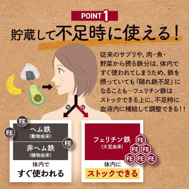 フェリチン鉄（6個セット・約6ヶ月分） 鉄 鉄分 サプリ 栄養機能食品 貯蔵鉄 オーガランド 女性 亜鉛 銅 葉酸 ビタミンB6 ビタミンB12 非ヘム鉄 小粒 1粒あたり5mg 高吸収 有機 大豆由来 ドリンクより手軽に サプリメント ポイント消化 46002_5