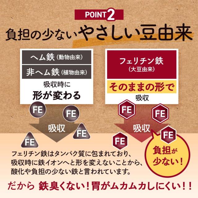 フェリチン鉄（6個セット・約6ヶ月分） 鉄 鉄分 サプリ 栄養機能食品 貯蔵鉄 オーガランド 女性 亜鉛 銅 葉酸 ビタミンB6 ビタミンB12 非ヘム鉄 小粒 1粒あたり5mg 高吸収 有機 大豆由来 ドリンクより手軽に サプリメント ポイント消化 46002_6