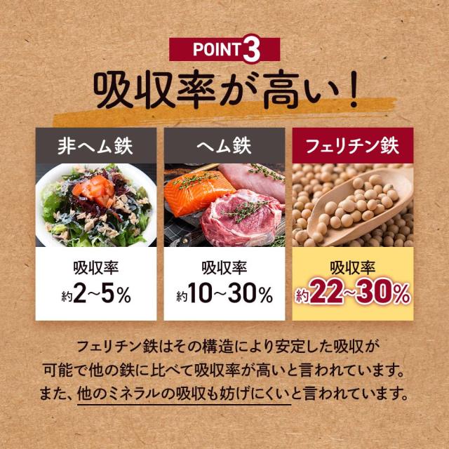 フェリチン鉄（6個セット・約6ヶ月分） 鉄 鉄分 サプリ 栄養機能食品 貯蔵鉄 オーガランド 女性 亜鉛 銅 葉酸 ビタミンB6 ビタミンB12 非ヘム鉄 小粒 1粒あたり5mg 高吸収 有機 大豆由来 ドリンクより手軽に サプリメント ポイント消化 46002_7