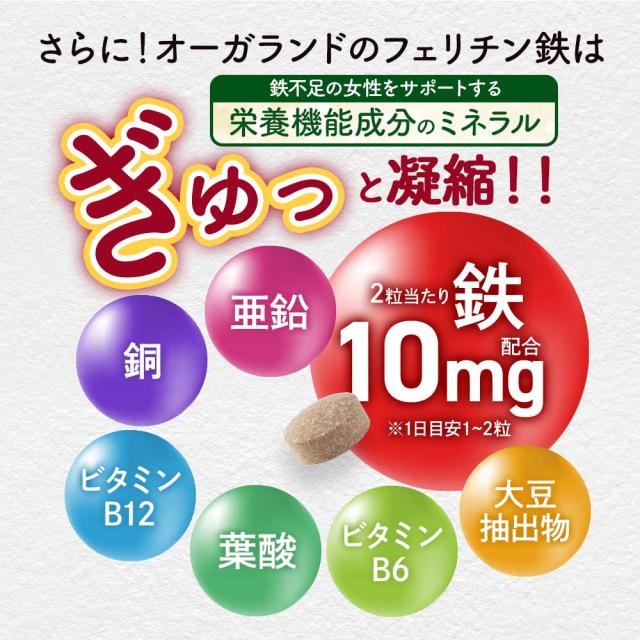 フェリチン鉄（6個セット・約6ヶ月分） 鉄 鉄分 サプリ 栄養機能食品 貯蔵鉄 オーガランド 女性 亜鉛 銅 葉酸 ビタミンB6 ビタミンB12 非ヘム鉄 小粒 1粒あたり5mg 高吸収 有機 大豆由来 ドリンクより手軽に サプリメント ポイント消化 46002_8