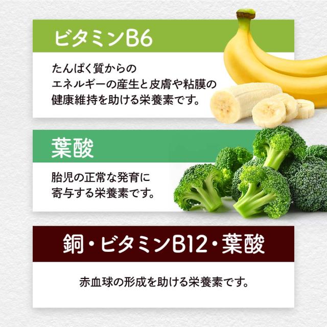 フェリチン鉄（6個セット・約6ヶ月分） 鉄 鉄分 サプリ 栄養機能食品 貯蔵鉄 オーガランド 女性 亜鉛 銅 葉酸 ビタミンB6 ビタミンB12 非ヘム鉄 小粒 1粒あたり5mg 高吸収 有機 大豆由来 ドリンクより手軽に サプリメント ポイント消化 46002_10